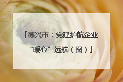 德兴市：党建护航企业“暖心”远航（图）