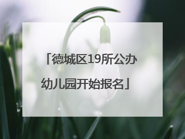 德城区19所公办幼儿园开始报名