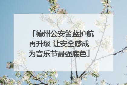 德州公安警蓝护航再升级 让安全感成为音乐节最强底色