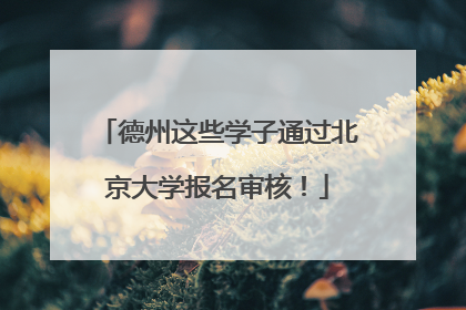 德州这些学子通过北京大学报名审核!