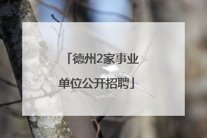 德州2家事业单位公开招聘