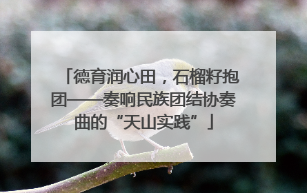 德育润心田，石榴籽抱团——奏响民族团结协奏曲的“天山实践”
