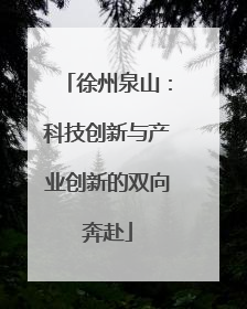 徐州泉山：科技创新与产业创新的双向奔赴