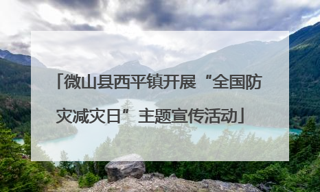 微山县西平镇开展“全国防灾减灾日”主题宣传活动