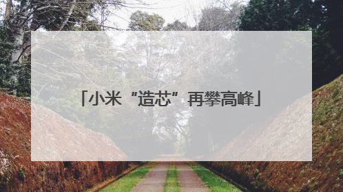 小米“造芯”再攀高峰