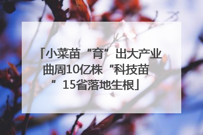 小菜苗“育”出大产业 曲周10亿株“科技苗”15省落地生根