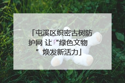 屯溪区织密古树防护网 让“绿色文物”焕发新活力