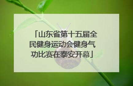 山东省第十五届全民健身运动会健身气功比赛在泰安开幕