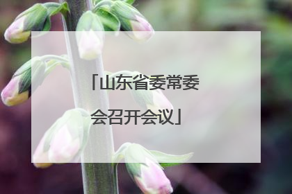 山东省委常委会召开会议
