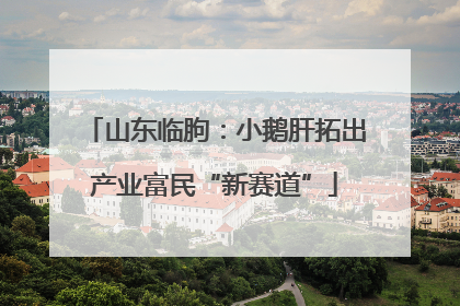 山东临朐：小鹅肝拓出产业富民“新赛道”