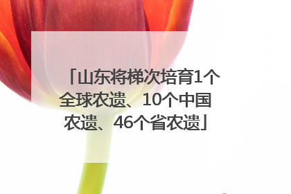 山东将梯次培育1个全球农遗、10个中国农遗、46个省农遗