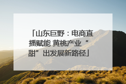 山东巨野：电商直播赋能 黄桃产业“甜”出发展新路径