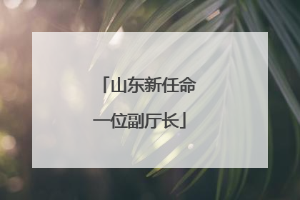 山东新任命一位副厅长