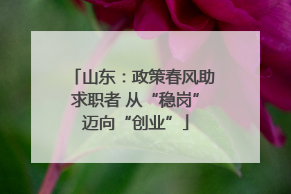 山东：政策春风助求职者 从“稳岗”迈向“创业”