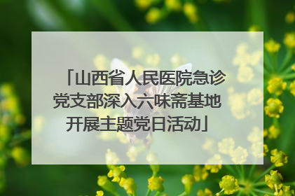 山西省人民医院急诊党支部深入六味斋基地开展主题党日活动
