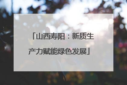 山西寿阳：新质生产力赋能绿色发展