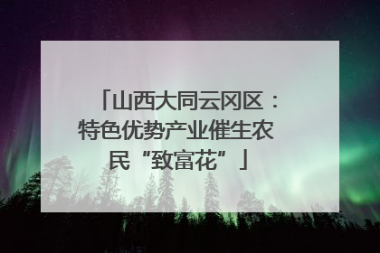 山西大同云冈区：特色优势产业催生农民“致富花”