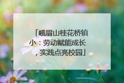 峨眉山桂花桥镇小：劳动赋能成长，实践点亮校园