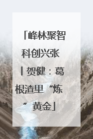 峰林聚智 科创兴张丨贺健：葛根渣里“炼”黄金