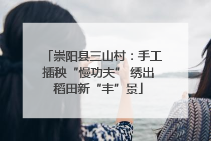 崇阳县三山村：手工插秧“慢功夫” 绣出稻田新“丰”景