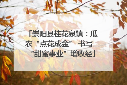 崇阳县桂花泉镇：瓜农“点花成金” 书写“甜蜜事业”增收经