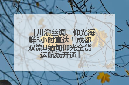 川渝丝绸、仰光海鲜3小时直达！成都双流⇌缅甸仰光全货运航线开通
