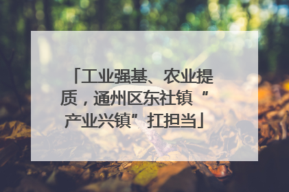 工业强基、农业提质，通州区东社镇“产业兴镇”扛担当