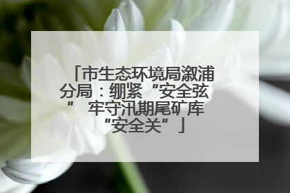 市生态环境局溆浦分局：绷紧“安全弦” 牢守汛期尾矿库“安全关”