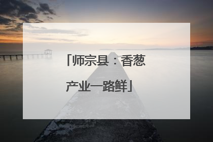 师宗县：香葱产业一路鲜