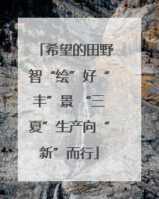 希望的田野智“绘”好“丰”景 “三夏”生产向“新”而行