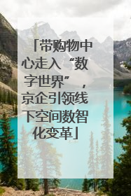 带购物中心走入“数字世界”，京企引领线下空间数智化变革