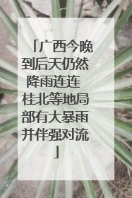 广西今晚到后天仍然降雨连连 桂北等地局部有大暴雨并伴强对流
