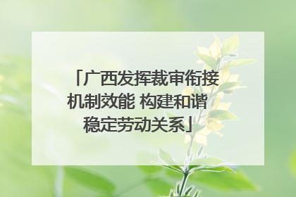 广西发挥裁审衔接机制效能 构建和谐稳定劳动关系