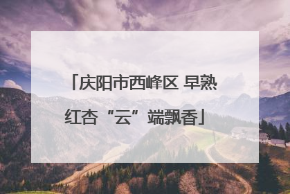 庆阳市西峰区 早熟红杏“云”端飘香