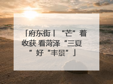 府东街丨“芒”着收获 看菏泽“三夏”好“丰景”
