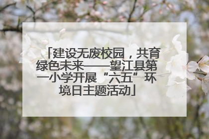 建设无废校园，共育绿色未来——望江县第一小学开展“六五”环境日主题活动