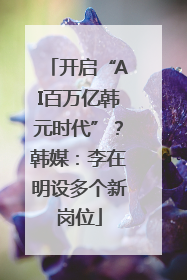 开启“AI百万亿韩元时代”？韩媒：李在明设多个新岗位