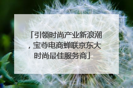 引领时尚产业新浪潮，宝尊电商蝉联京东大时尚最佳服务商