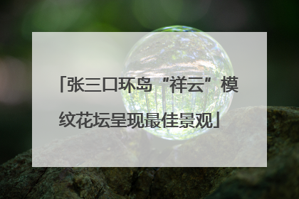 张三口环岛“祥云”模纹花坛呈现最佳景观