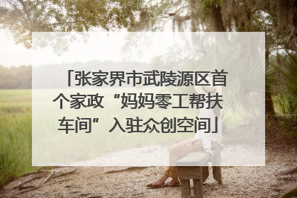 张家界市武陵源区首个家政“妈妈零工帮扶车间”入驻众创空间