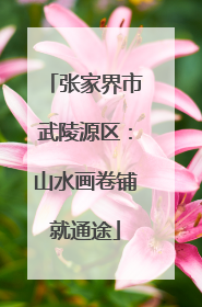 张家界市武陵源区：山水画卷铺就通途