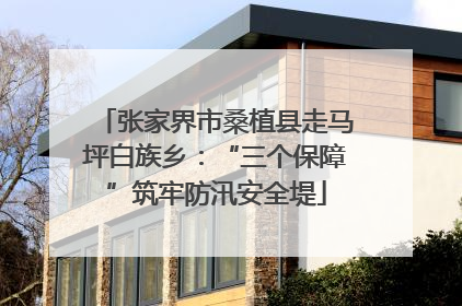 张家界市桑植县走马坪白族乡：“三个保障”筑牢防汛安全堤