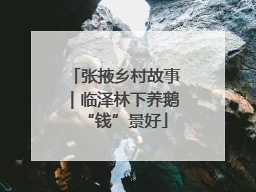 张掖乡村故事｜临泽林下养鹅“钱”景好