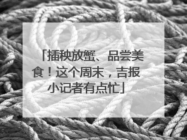 插秧放蟹、品尝美食！这个周末，吉报小记者有点忙
