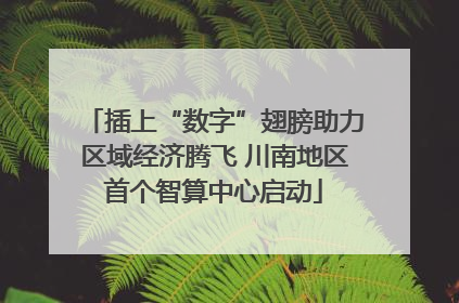 插上“数字”翅膀助力区域经济腾飞 川南地区首个智算中心启动