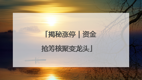 揭秘涨停｜资金抢筹核聚变龙头