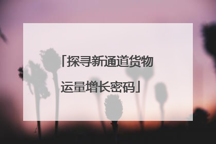 探寻新通道货物运量增长密码
