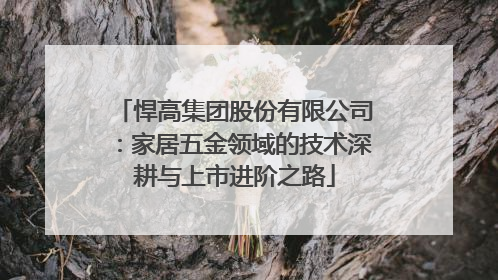 悍高集团股份有限公司：家居五金领域的技术深耕与上市进阶之路