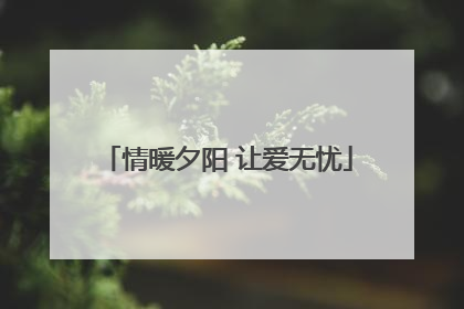 情暖夕阳 让爱无忧