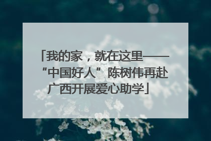 我的家，就在这里——“中国好人”陈树伟再赴广西开展爱心助学